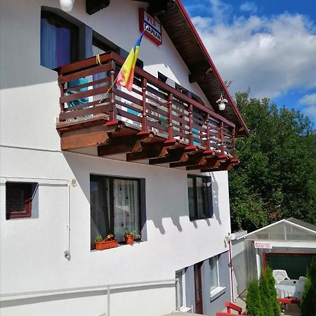 Vila Vila Darian Buşteni Exteriér fotografie