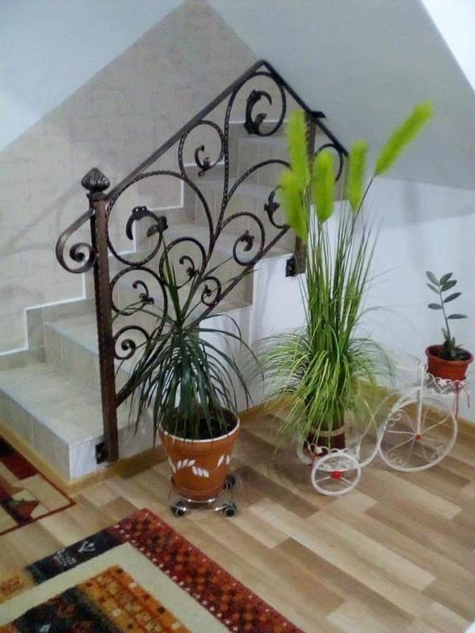 Vila Vila Darian Buşteni Exteriér fotografie