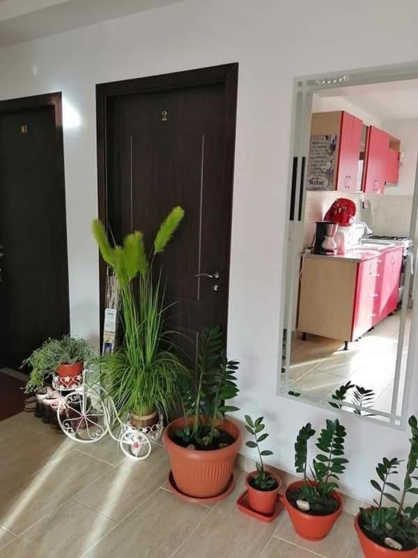 Vila Vila Darian Buşteni Exteriér fotografie