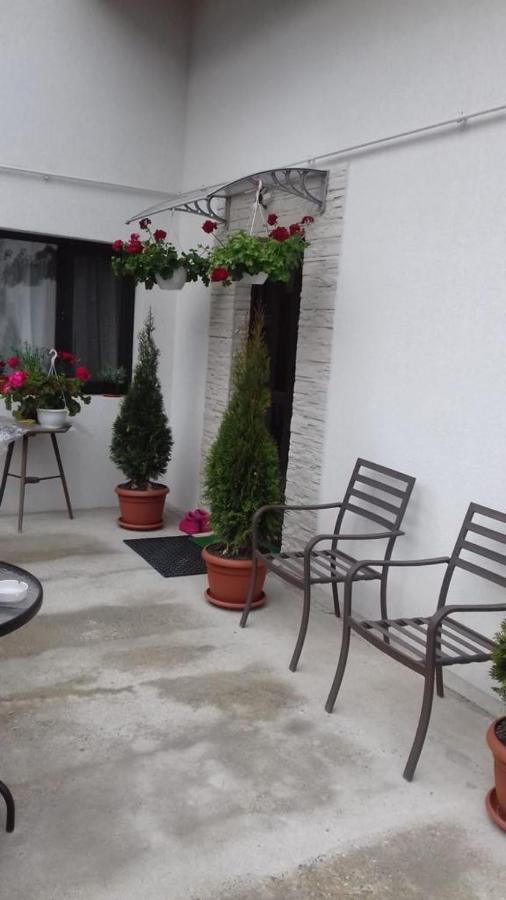 Vila Vila Darian Buşteni Exteriér fotografie