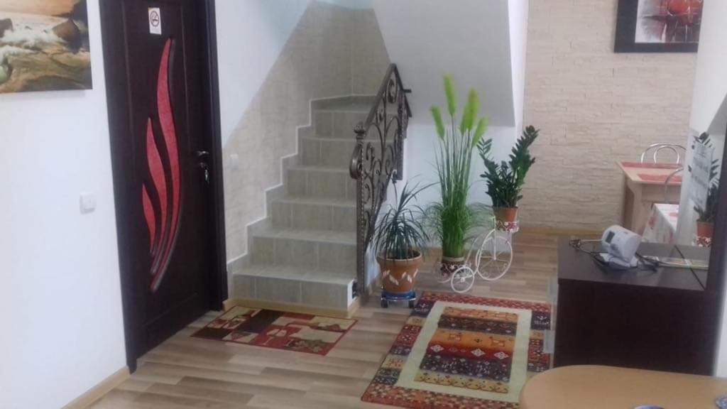 Vila Vila Darian Buşteni Exteriér fotografie