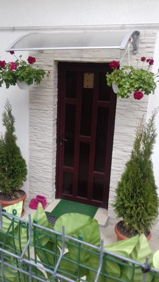 Vila Vila Darian Buşteni Exteriér fotografie