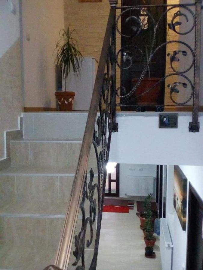 Vila Vila Darian Buşteni Exteriér fotografie