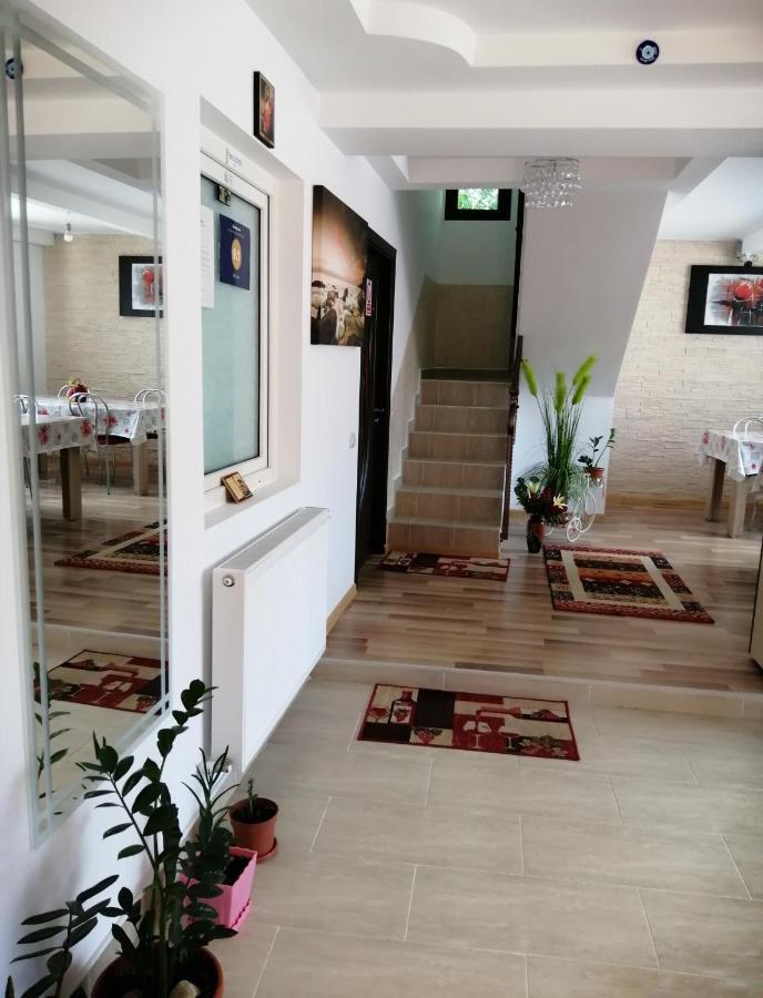 Vila Vila Darian Buşteni Exteriér fotografie