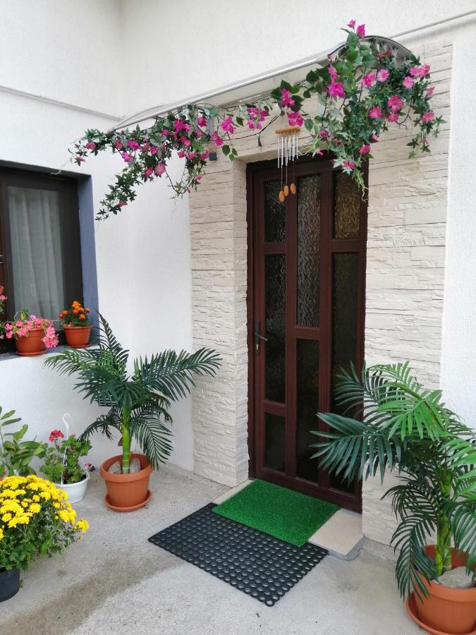 Vila Vila Darian Buşteni Exteriér fotografie
