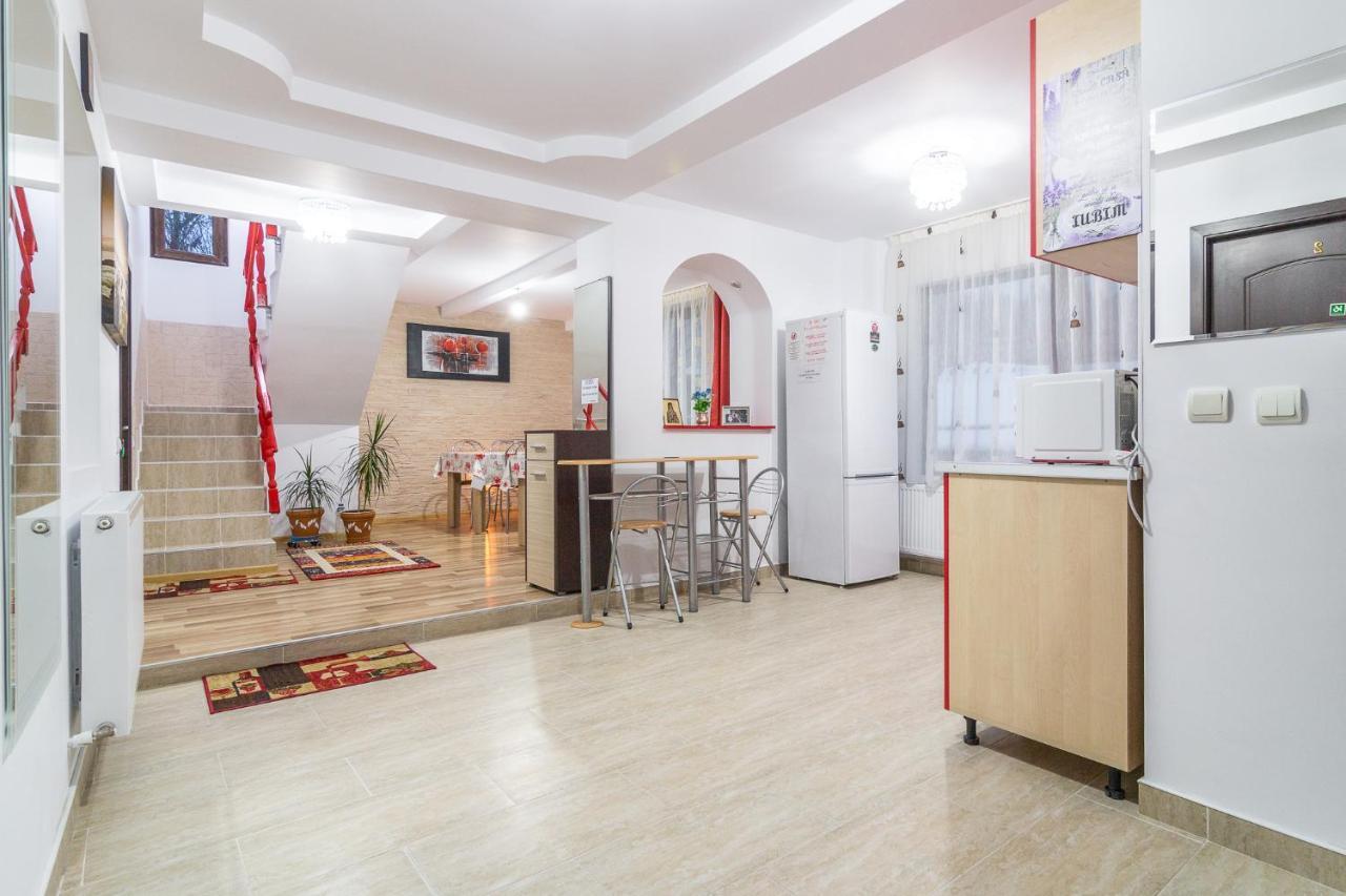 Vila Vila Darian Buşteni Exteriér fotografie
