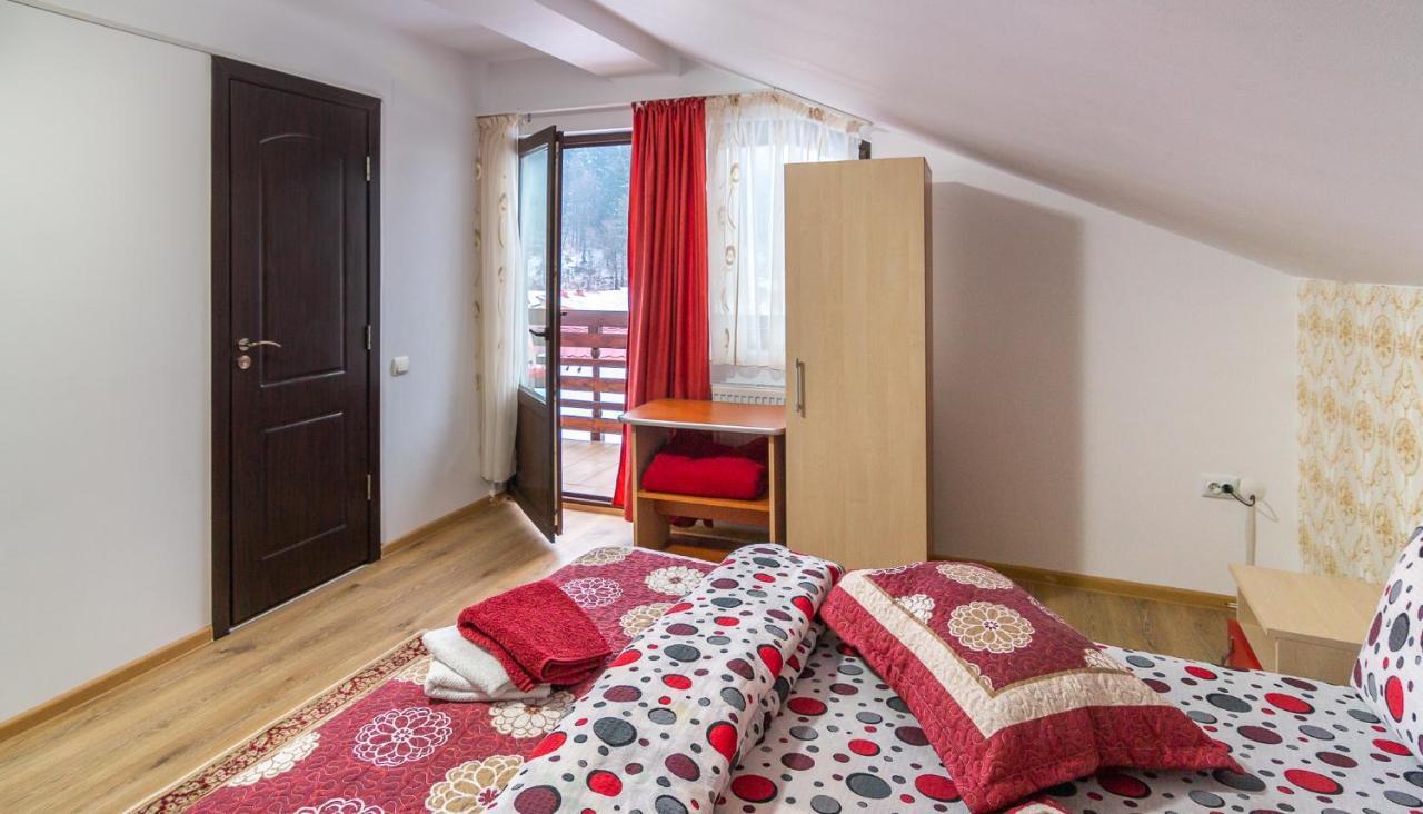 Vila Vila Darian Buşteni Exteriér fotografie