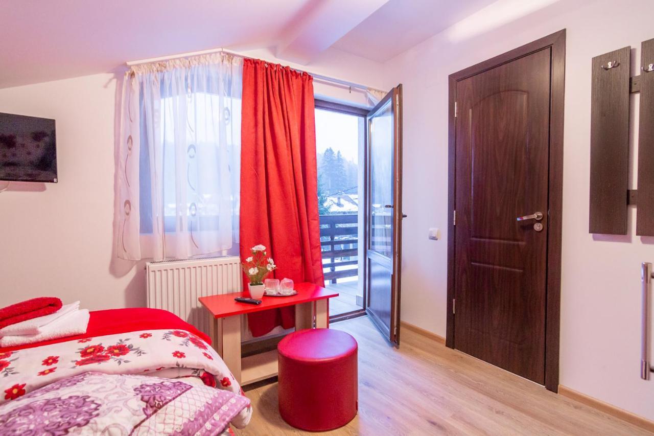 Vila Vila Darian Buşteni Exteriér fotografie